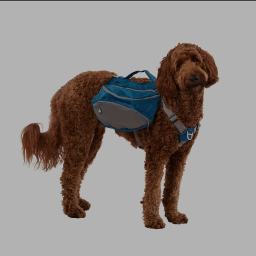 NWT Arcadia Trail Ultimate Backpack Harness